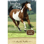 The Leading the Way: 5 - Paperback