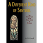 A Different Kind of Sentinel: The Strange Case of the United States vs FR Drury - Paperback