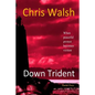 Down Trident: when peaceful protest becomes violent - Paperback