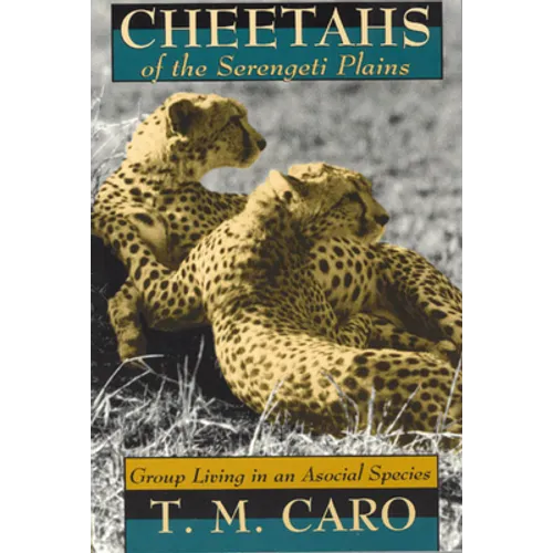Cheetahs of the Serengeti Plains: Group Living in an Asocial Species - Paperback