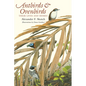 Antbirds and Ovenbirds: Their Lives and Homes - Paperback