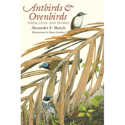 Antbirds and Ovenbirds: Their Lives and Homes - Paperback