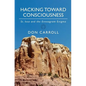 Hacking Toward Consciousness: St Issa and the Enneagram Enigma - Paperback