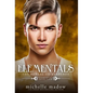 Elementals 4: The Portal to Kerberos - Hardcover