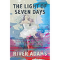 The Light of Seven Days a Novel - Hardcover