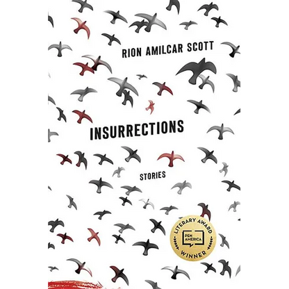 Insurrections: Stories - Paperback