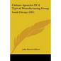 Culture Agencies Of A Typical Manufacturing Group: South Chicago (1901) - Paperback