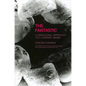Fantastic: A Structural Approach to a Literary Genre - Paperback