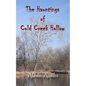 The Hauntings of Cold Creek Hollow - Paperback
