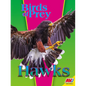 Hawks - Library Binding