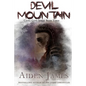 Devil Mountain - Paperback