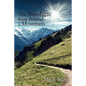 The Sunshine from Behind a Mountain - Paperback