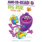 Big Bub, Small Car: Ready-To-Read Ready-To-Go! - Hardcover