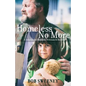 Homeless No More: A Solution for Families, Veterans and Shelters - Paperback