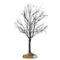 Butternut Tree - 9.5 inches