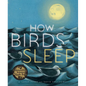 How Birds Sleep - Hardcover