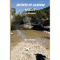 Secrets of Shadow Valley: The Beginning - Paperback