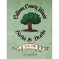 Calhoun County, Illinois Births & Deaths 1878-1916 - Paperback