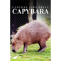 Capybara - Curious Kids Press: Kids book about animals and wildlife, Children's books 4-6 - Paperback
