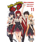 High School DXD, Vol. 11 - Paperback