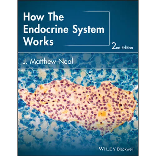 How the Endocrine System Works - Paperback