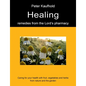 Healing remedies from the Lord's pharmacy - Volume 1: Caring for your health with fruit, vegetables and herbs from nature and the garden - Paperback