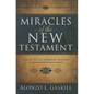 Miracles of the New Testament: A Guide to the Symbolic Messages - Hardcover