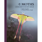 The Lives of Moths: A Natural History of Our Planet's Moth Life - Hardcover