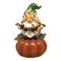 Fall Gnome Pumpkin -