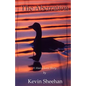 The Aberration - Paperback