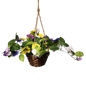 Trailing Pansy Flowers in 8" Hanging Bamboo Basket -