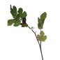 36-inch Faux Mediterranean Fig Branch