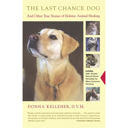 The Last Chance Dog: And Other True Stories of Holistic Animal Healing - Paperback