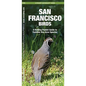 San Francisco Birds: An Introduction to Familiar Species