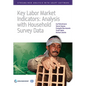 Key Labor Market Indicators: Analysis with Household Survey Data - Paperback