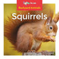 Squirrels - Library Binding