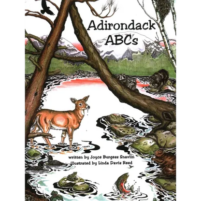 Adirondack ABCs - Paperback