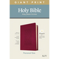 KJV Personal Size Giant Print Bible, Filament Enabled Edition (Leatherlike, Diamond Frame Cranberry) - Imitation Leather