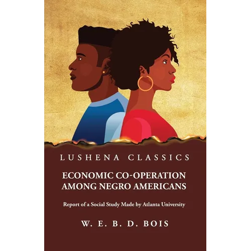 Economic Co-Operation Among Negro Americans - Paperback