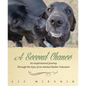 A Second Chance: An Inspirational Journey through the Eyes of an Animal Shelter Volunteer - Paperback