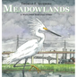 Meadowlands: A Wetlands Survival Story - Hardcover