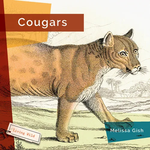 Cougars - Library Binding