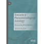 Towards a Phenomenological Axiology: Discovering What Matters - Paperback