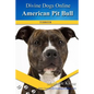American Pit Bull Terriers - Paperback