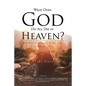 What Does God Do All Day In Heaven - Paperback
