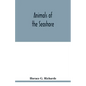 Animals of the seashore - Paperback
