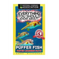 Everything You Should Know About: Puffer Fish Faster Learning Facts - Paperback