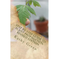 Step By Step Guide To Plant Propagation Revised Edition - Paperback