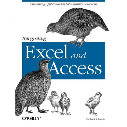 Integrating Excel and Access: Combining Applications to Solve Business Problems - Paperback