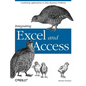 Integrating Excel and Access: Combining Applications to Solve Business Problems - Paperback
